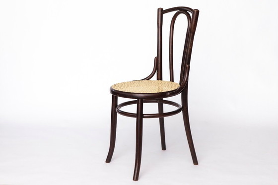 Image 1 of Fischel Bentwood Chair – Early 20th Century Thonet Style, Beechwood Frame with New Cane Seat, Antique Vintage Chair