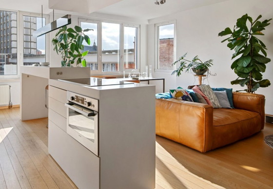 Image 1 of 2 X tweezit Bailey