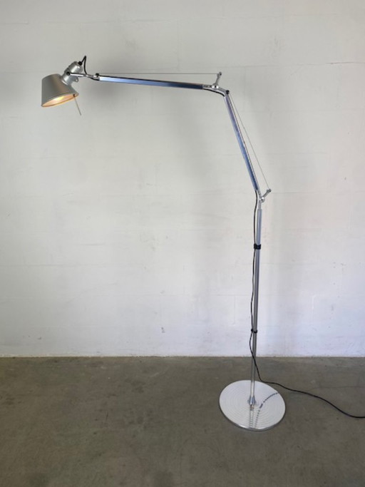 Artemide Floor lamp Tolomeo Terra design Giancarlo Fassina