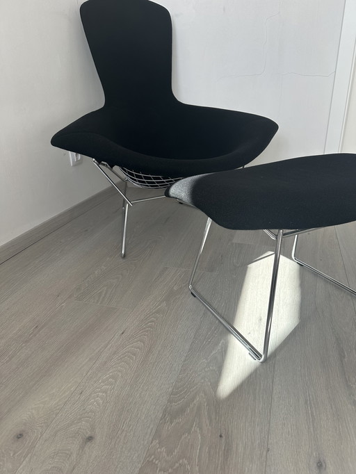 Fauteuil oiseau Knoll et pouf Bertoia