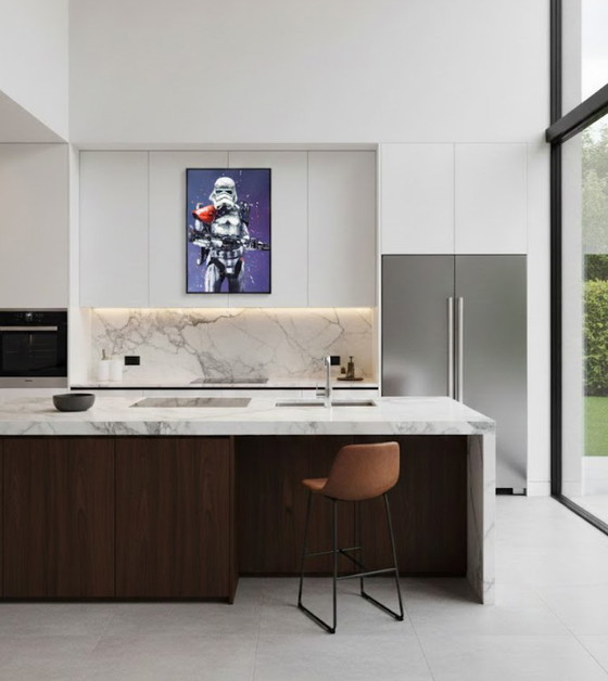 Star Wars - Stormtrooper - Star Wars-saga #Limited Edition, Handsigned, Numbered – Fransman Art, Giclée Prints (photo 9 of 9)