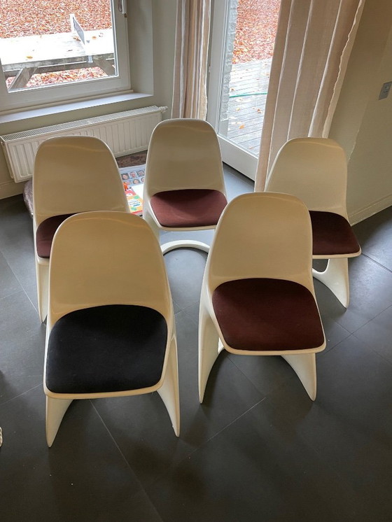 Image 1 of 5 sedie Casala Casalino – Alexander Begge (2001) – Vintage Design Classic