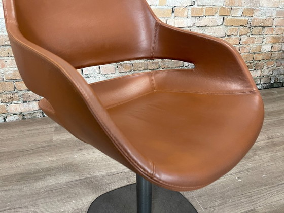 Image 1 of 6x Zanotta Eva