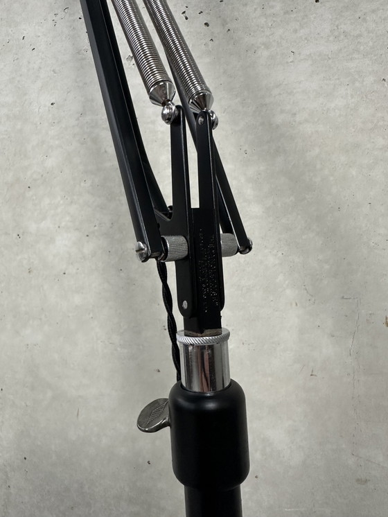 Image 1 of Original Anglepoise Herbert Terry 1209 - lámpara de pie - años 40
