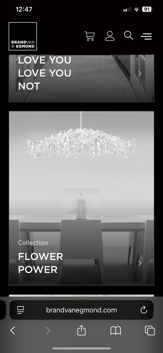 Image 1 of MarqueVanEgmond flowerpower