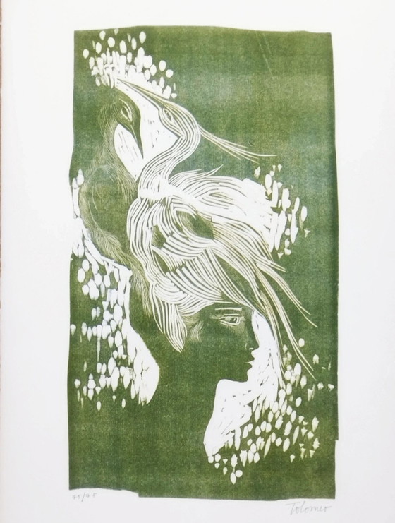 Baudelaire, La sainte jeunesse: Complete folder with linoleum by Carla Tolomeo ex. 75/75, 63x45 cm (photo 4 of 15)