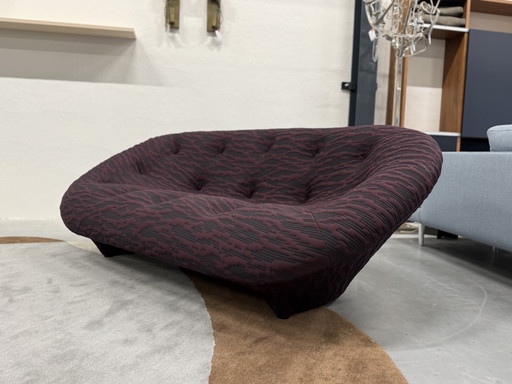 Línea Roset Ploum 3 Zits Banco Berenjena 204