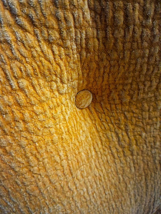 Image 1 of 1 vintage Airborne karate chair