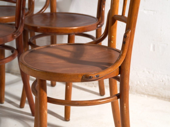 Sedie antiche in legno curvato stile Thonet – Europa Centrale, c. 1930 – Set di 4 #8 – Sedie da pranzo (photo 11 of 40)