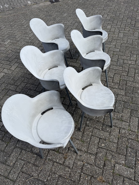 Image 1 of 6x Marcello Ziliane Sinesto Gogo chair