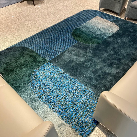 Image 1 of Leolux Seasons rug - 225x340