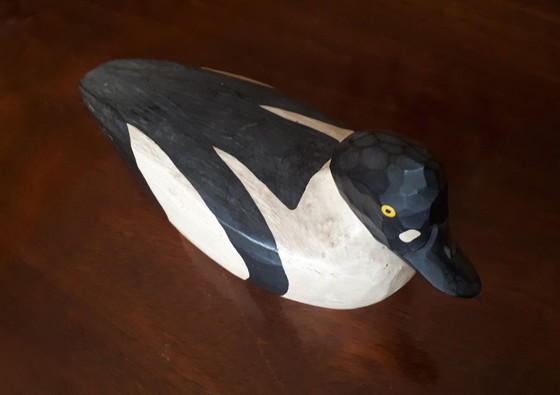 Image 1 of Esca unica americana