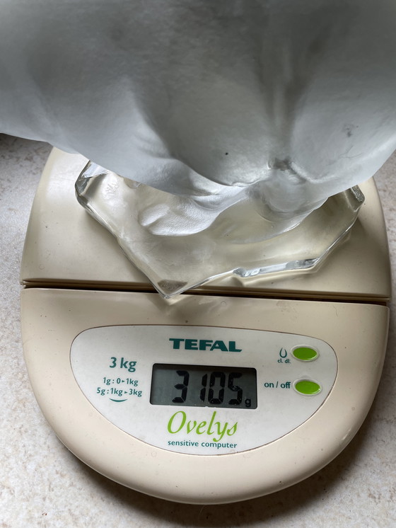 Image 1 of Oso Goebel en Cristal Esmerilado