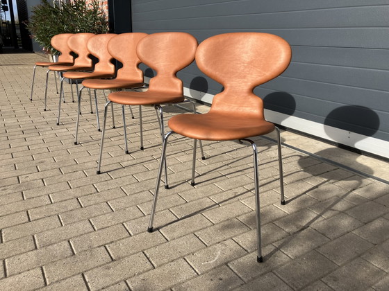 Image 1 of Fritz Hansen Ant (mier) chairs in Cognac leder NIEUWstaat!