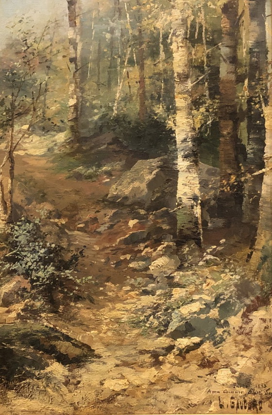 Image 1 of Huile sur toile ancienne signée, paysage de sous-bois 1893, cadre doré