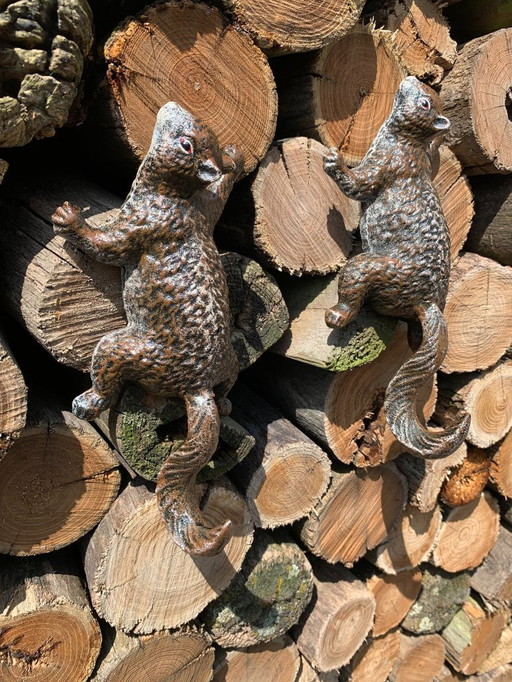 Ensemble de deux écureuils