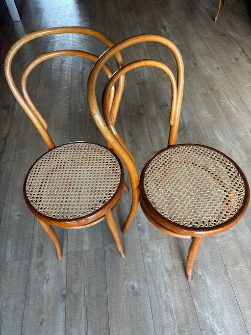 Sillas de bistró de madera Josef Hofmann 2 pzs.