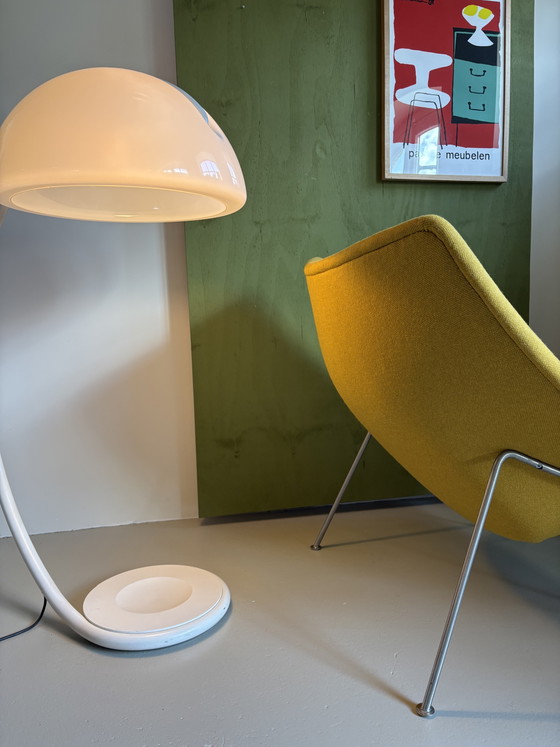 Artifort F157 Big Oyster Sillón recién tapizado – Sillones, Wool (photo 5 of 8)