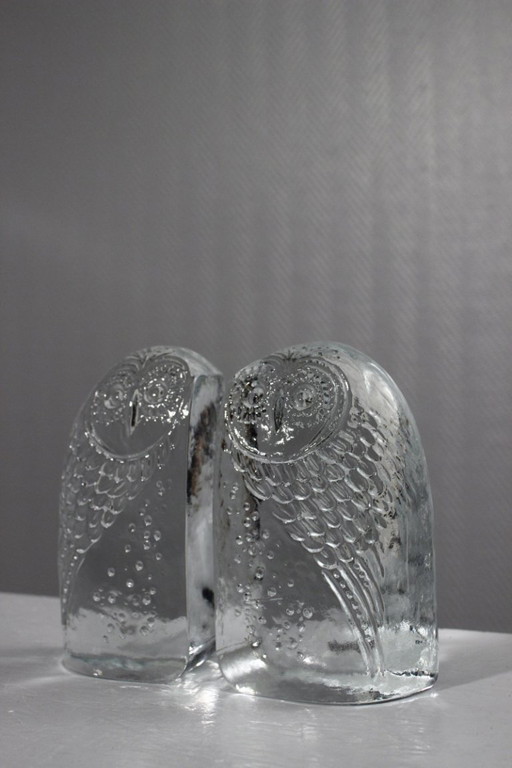 Par de grandes sujetalibros vintage de cristal moldeado con forma de búhos
