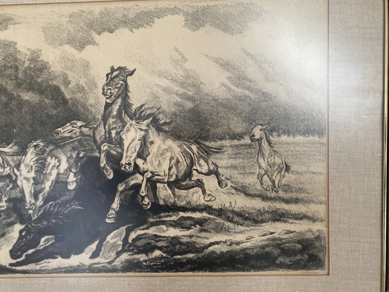 Image 1 of Disegno con i cavalli di John Paymans