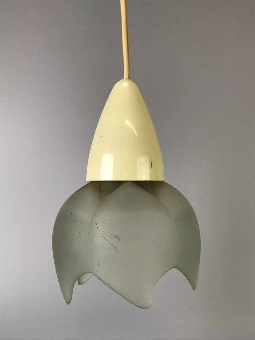 60s 70s Erco ceiling lamp ceiling lamp lamp lamp glass space age