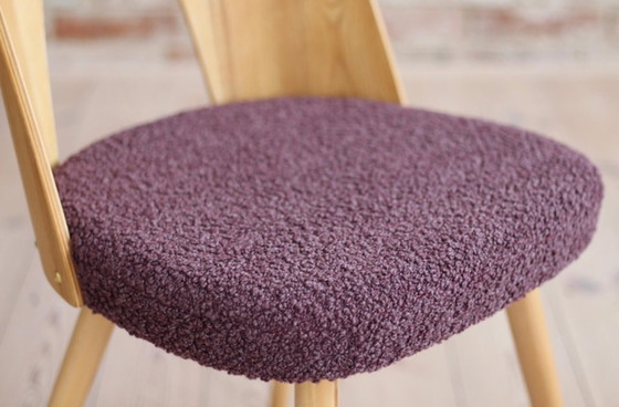 Image 1 of Set of 10 Mid Century Dining Chairs by A. Šuman, 1960s, Customizable Upholstery Available