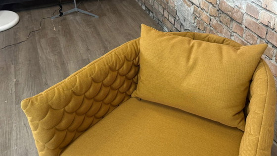 Image 1 of Ocre de la plaine nuageuse de Naughtone