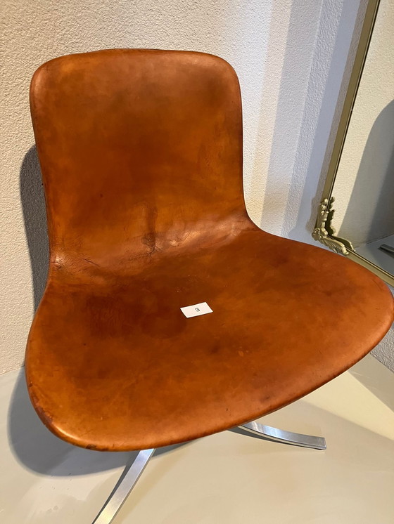 Image 1 of Vintage chairs PK9 PK 9 Poul Kjærholm Kjaerholm from EKC 8 pieces