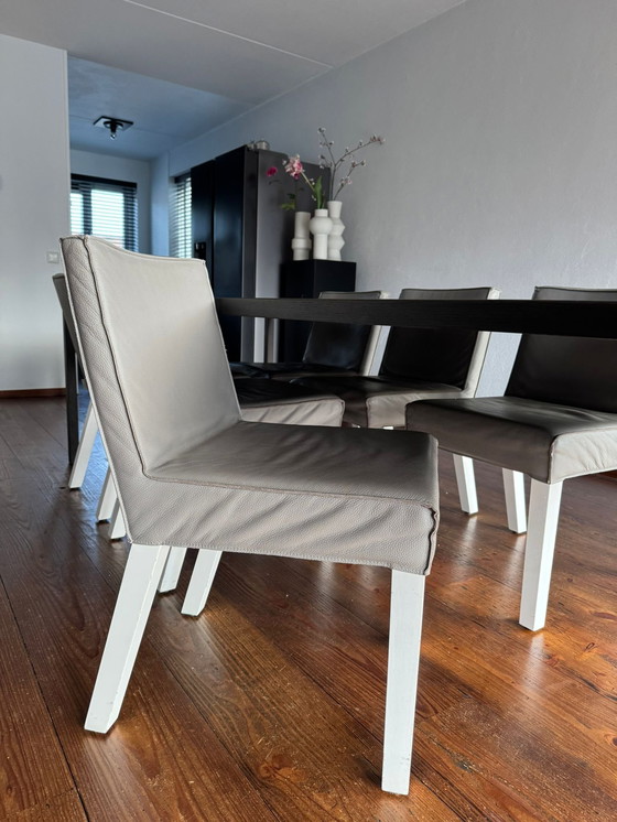 Image 1 of 6 sedie da pranzo Piet Boon SAAR tortora/grigio con gambe bianche