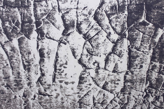 Image 1 of Stampa di Klaus Littmann 1972