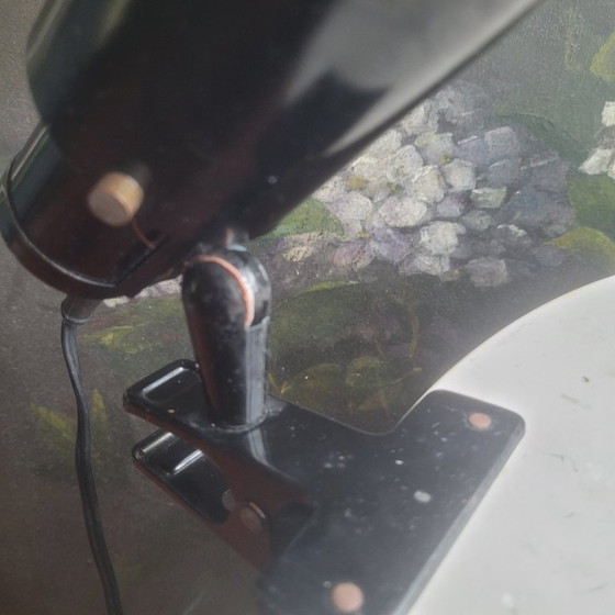 Image 1 of Lámpara de pared con pinza Jacques Biny Lita Modelo Zodiac