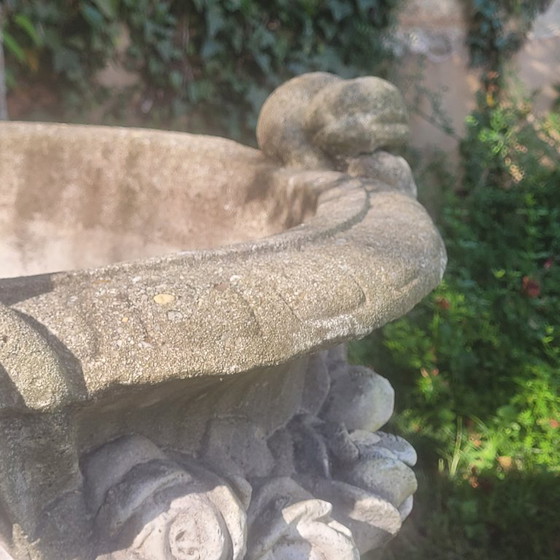 Image 1 of Vazen Medicis Zeer Groot Paar