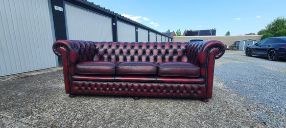 Image 1 of Original Springvale Chesterfield 3 seater sofa in oxblood red