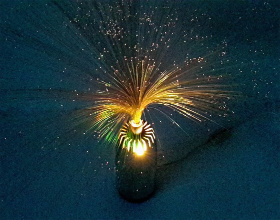 Image 1 of Lampada da fontana vintage BMF / lampada in fibra di vetro anni '60