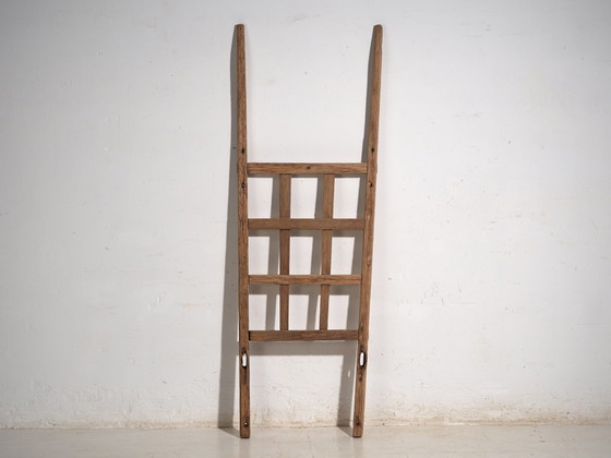 Antike Kiefernholzleiter, Mitteleuropa, circa 1880, Dekorative Objekte, Eisen, Rustic (Foto 5 von 8)