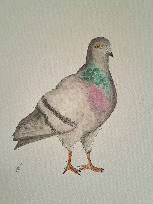 Watercolor painting of a city pigeon | Gold-colored frame