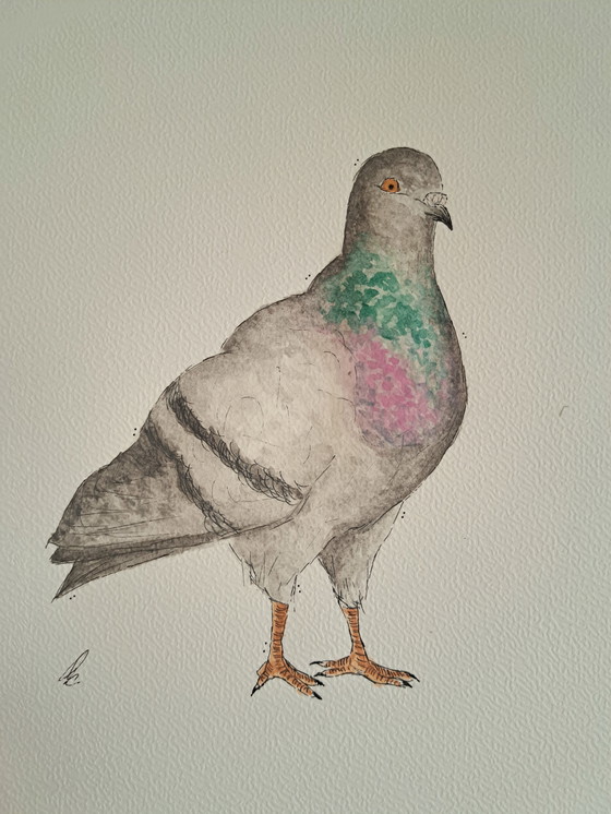 Image 1 of Watercolor painting of a city pigeon | Gold-colored frame