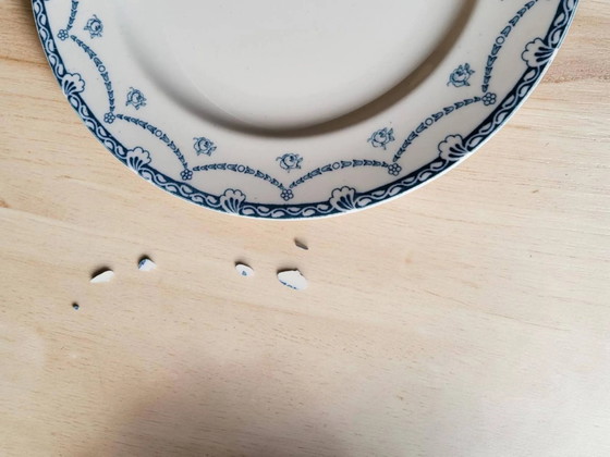 6 platos de loza inglesa "Cheltenham" — F. Winkle & Co – Porcelain, Art Nouveau (photo 5 of 8)