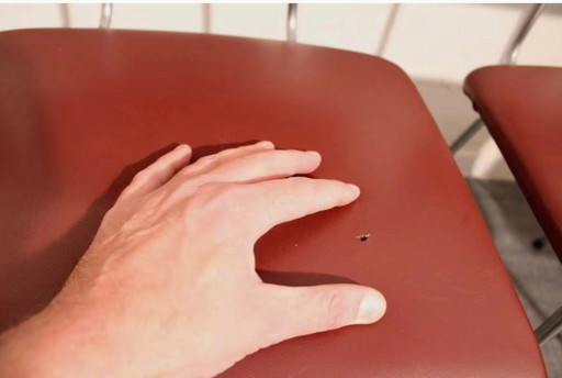 4 sedie da pranzo Gispen