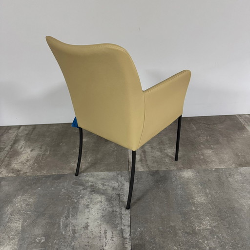 Spargo 6er-Set