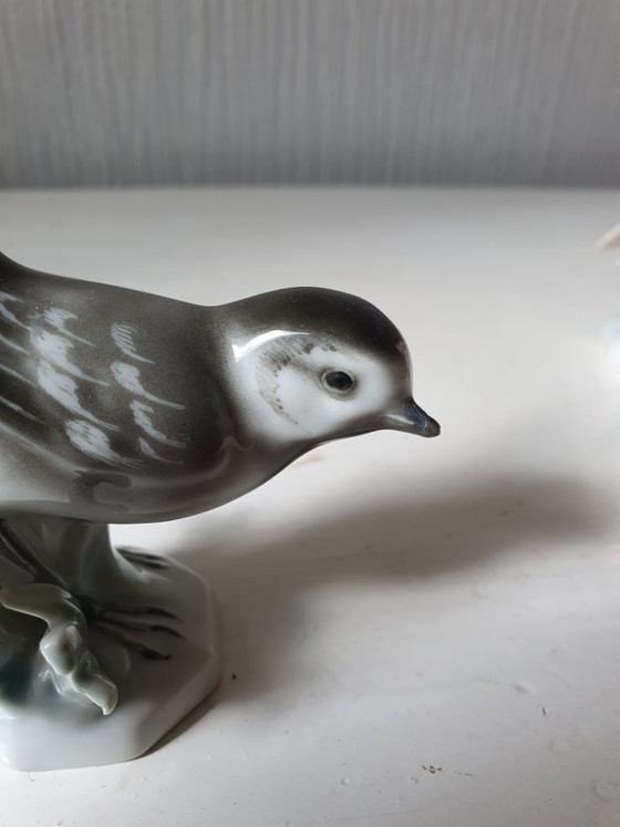 Image 1 of Lot de 2 oiseaux en porcelaine Unterweißbach (Heinz Schaubach)