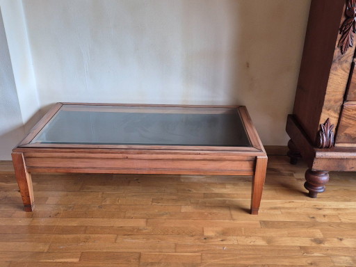 Table basse vitrine avec compartiment de rangement – salontafels, Glass, Wood