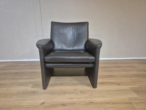 Leolux Antipode - Sessel - Braun - Leder - Neuer Zustand