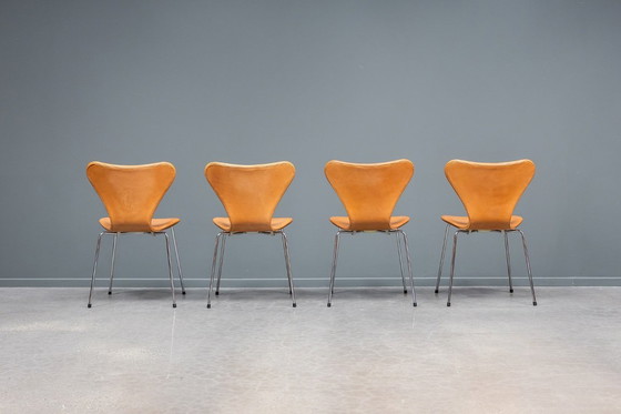 Image 1 of Sedia "farfalla" Serie 7, set da 6