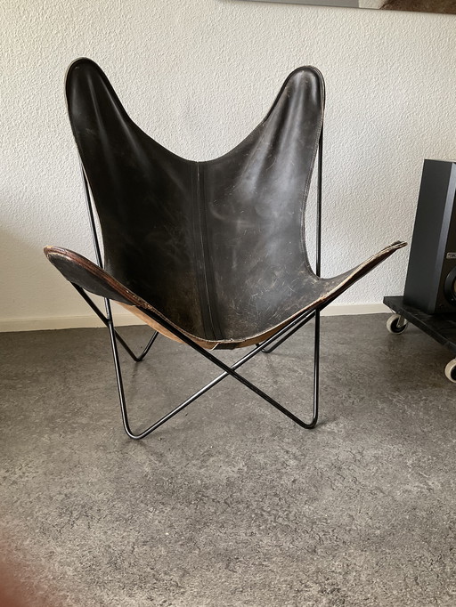 Schmetterlingsstuhl Cuero Mariposa