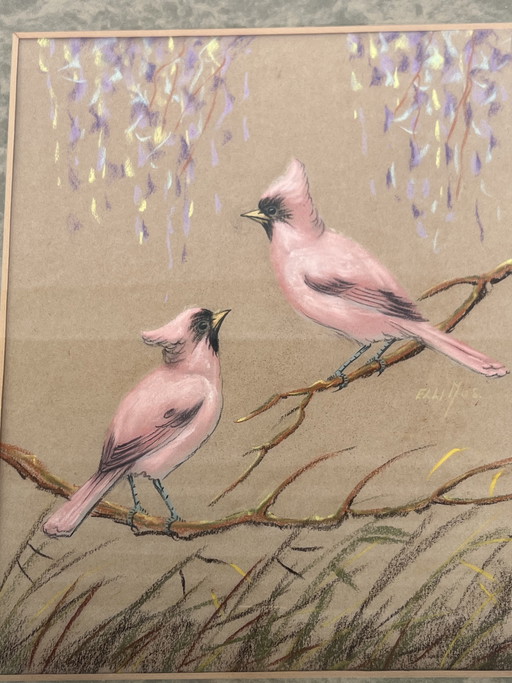 Antique drawing of pink birds