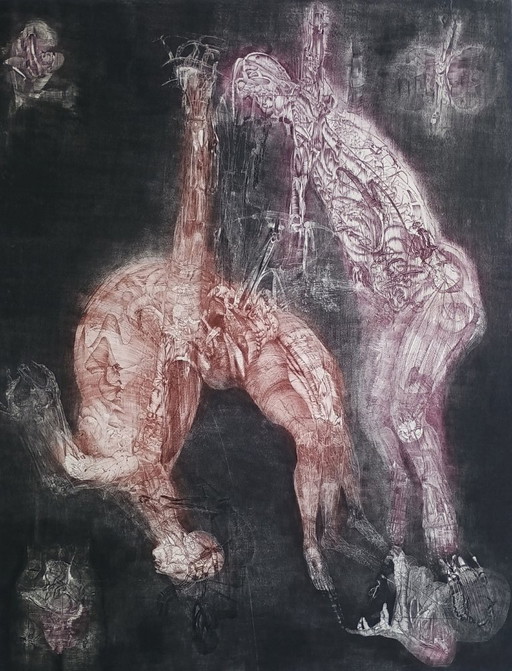 Jiři/Jiri ANDERLE "KAMASUTRA I" Edition of 29 - signed-numbered (80 x 64 cm)