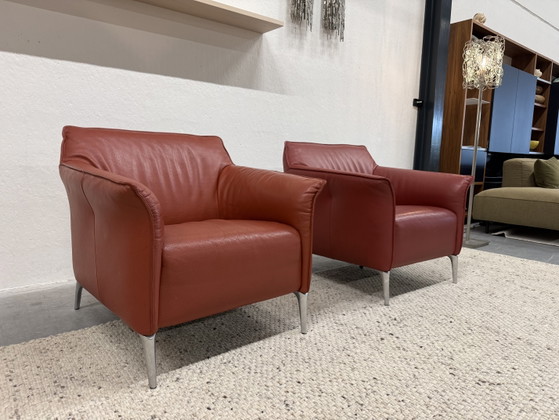 2 Leolux Mayon Armchair Senso Terracotta – Leather (photo 5 of 8)