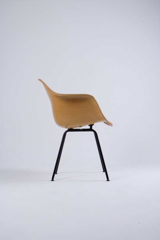 Image 1 of DAX Eames en fibre de verre – Light Ocre – Herman Miller / Vitra – circa 1965-1975