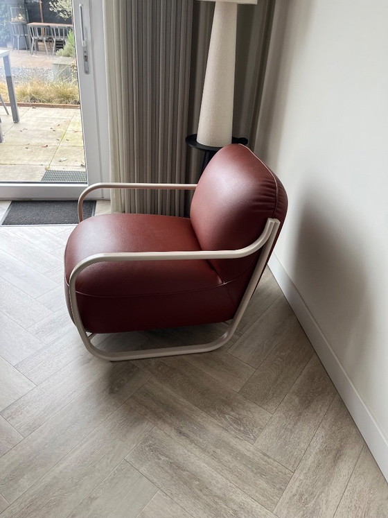 Image 1 of Chap Pode di Leolux in pelle